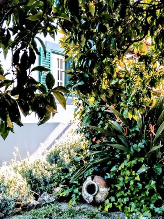 Páteo memória, casa do beco Setúbal Exterior foto