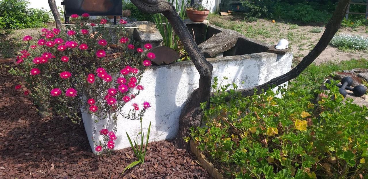 Páteo memória, casa do beco Setúbal Exterior foto